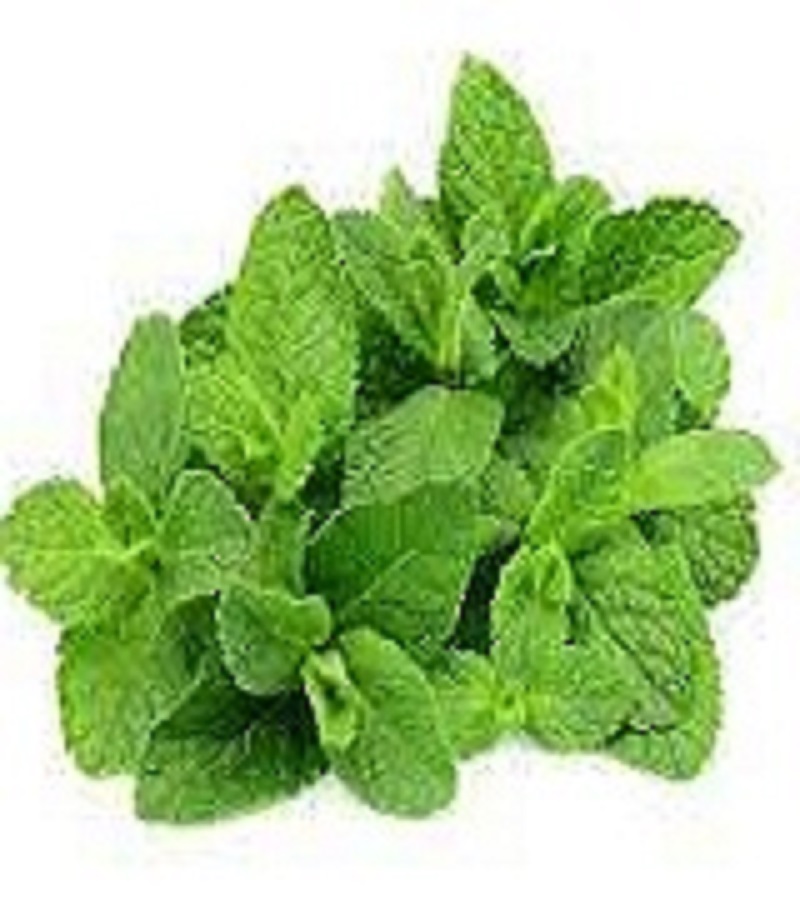 புதினா / Mint leaves